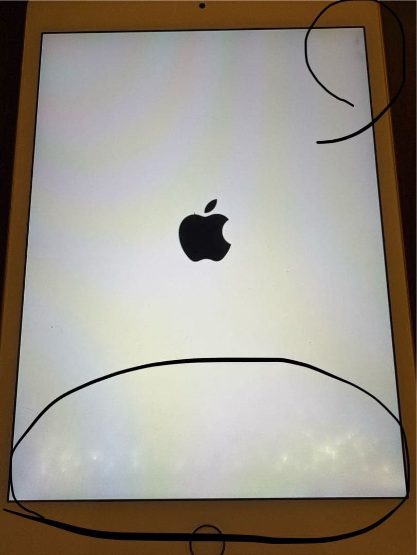 Apple iPad mini 256GB ゴールド 本体 第五世代