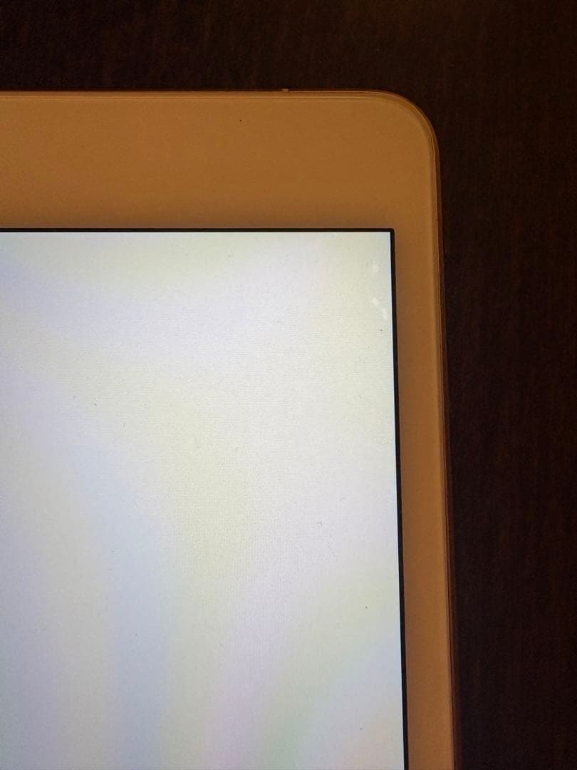 Apple iPad mini 256GB ゴールド 本体 第五世代