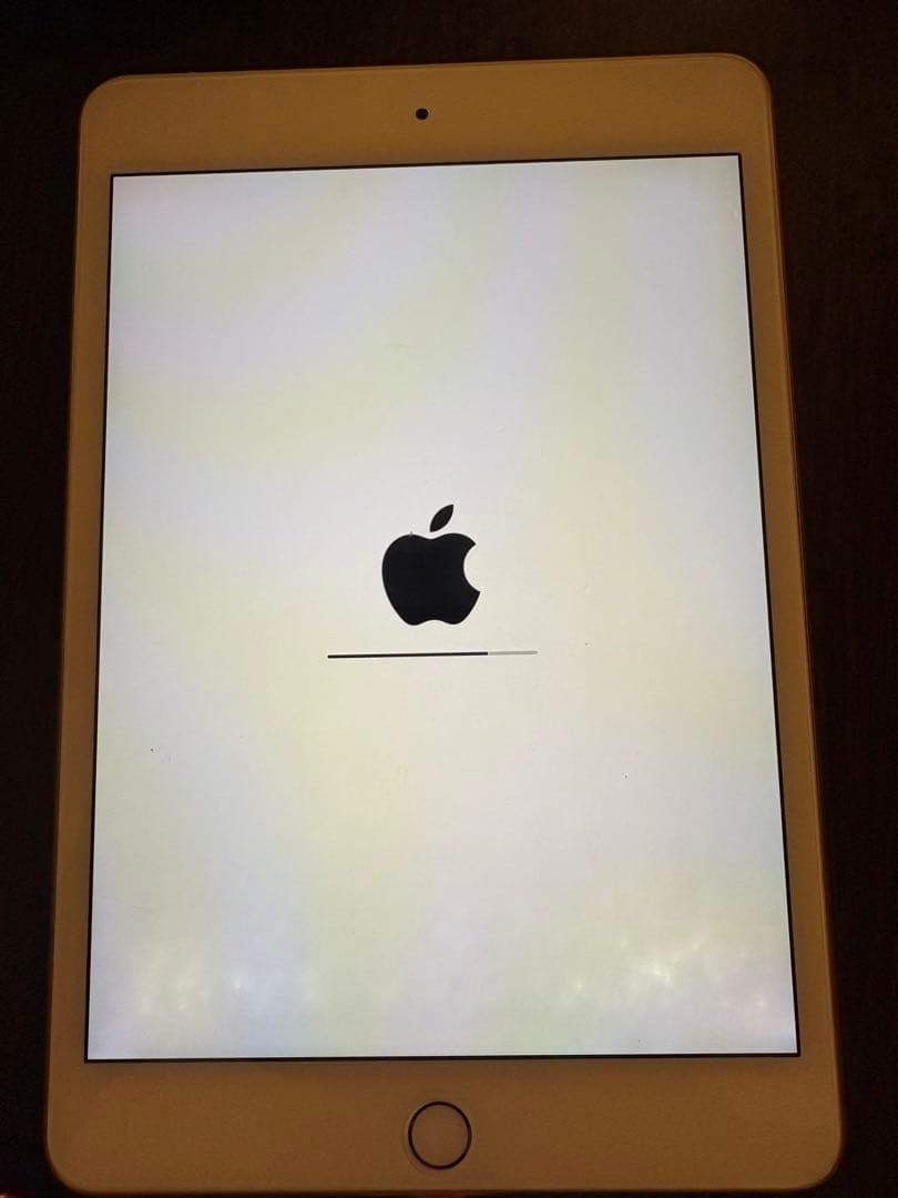 Apple iPad mini 256GB ゴールド 本体 第五世代