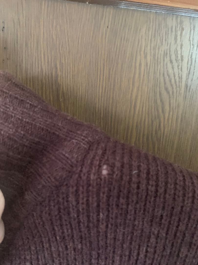 エ*ー様 珍品　希少　レア　パタゴニア　ニット　セーター