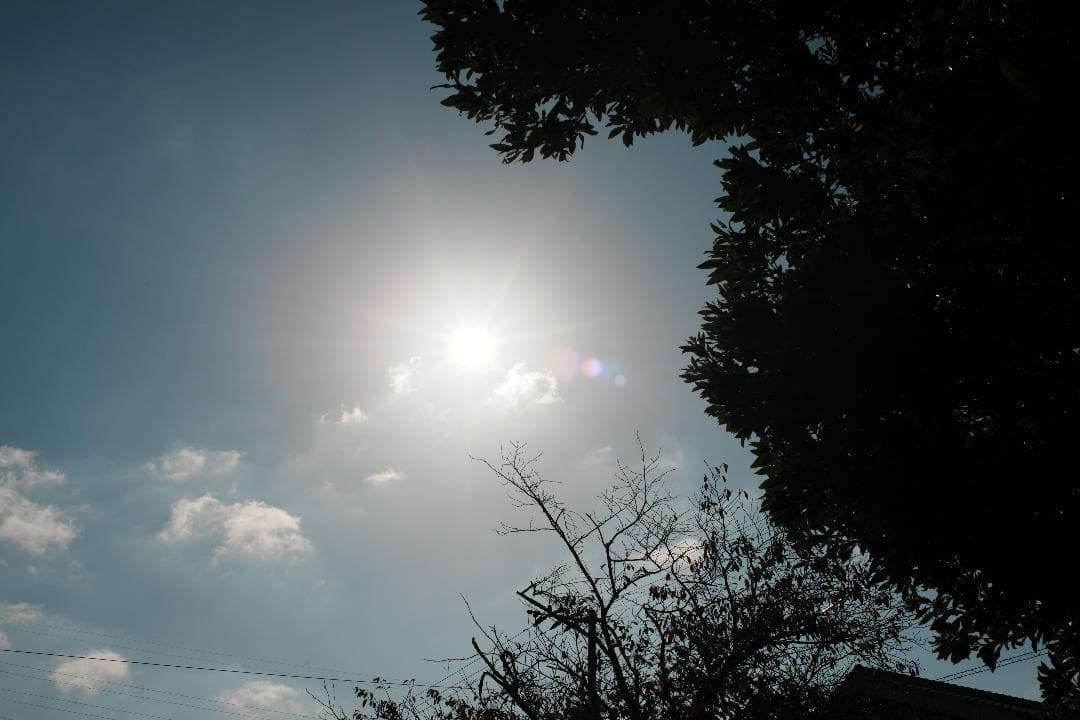 自然な光と空気感を残す Nikon Ai Nikkor 35mm F2 582