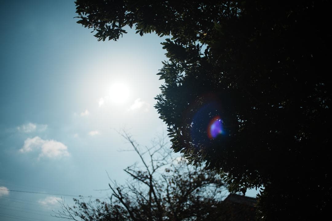 自然な光と空気感を残す Nikon Ai Nikkor 35mm F2 582