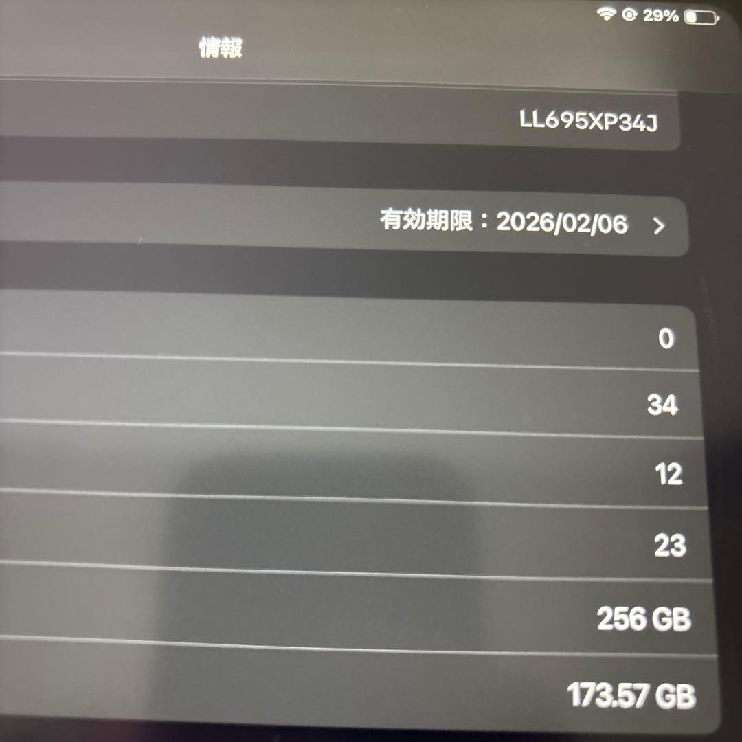 Apple iPad (第10世代) ブルー