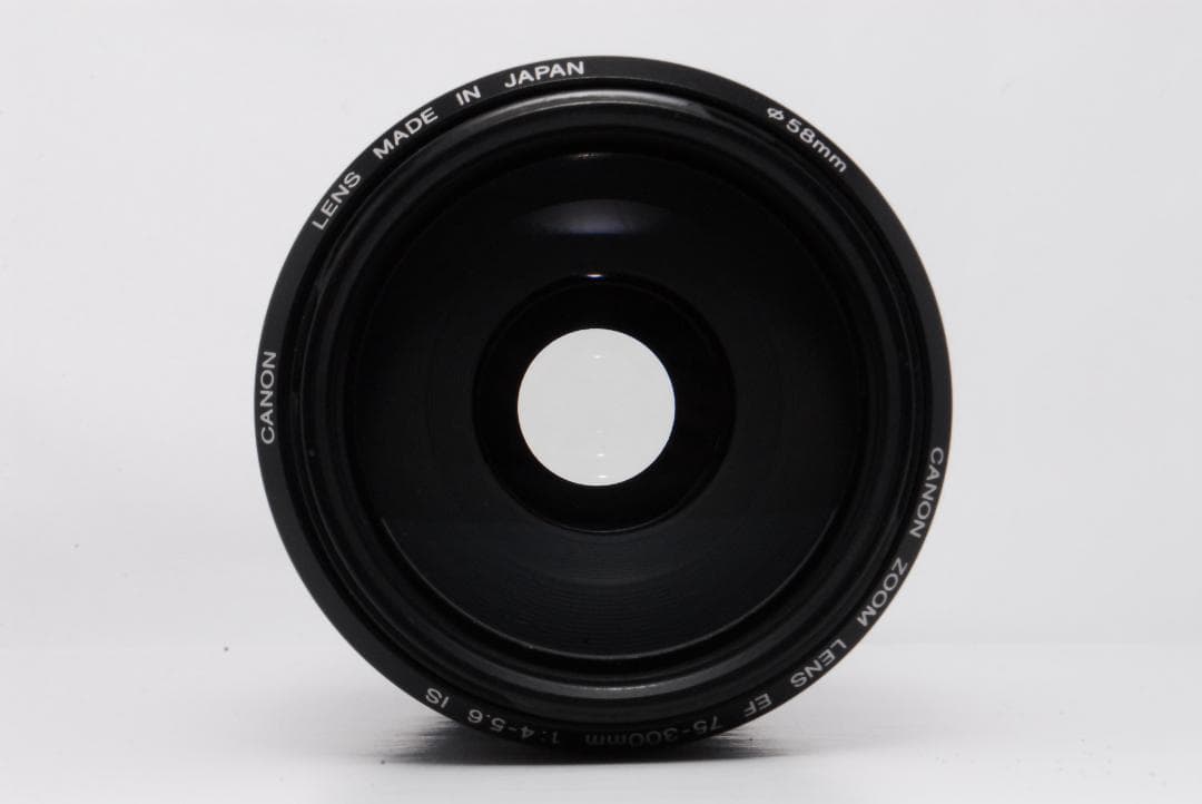 ✨望遠レンズ✨ Canon EF 75-300mm F4-5.6 IS USM