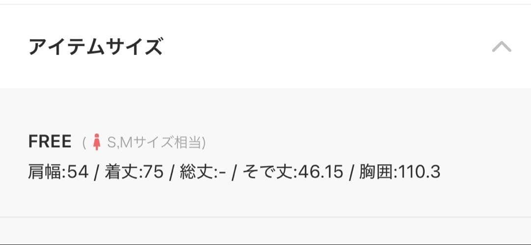 ウィムガゼット whim gazette 刺繍ジョーゼットプルオーバー