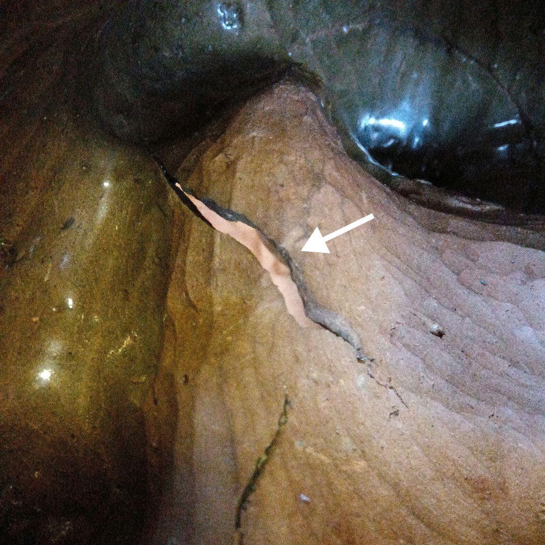 【古萩】青釉 大黒天 置物【三輪窯3代作】人間国宝 三輪休和(休雪)極め