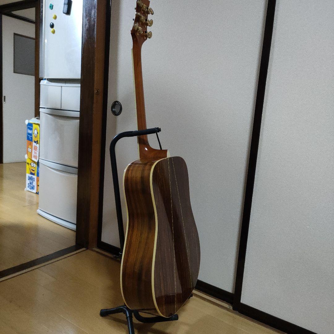 ギター Greg Bennett D-8