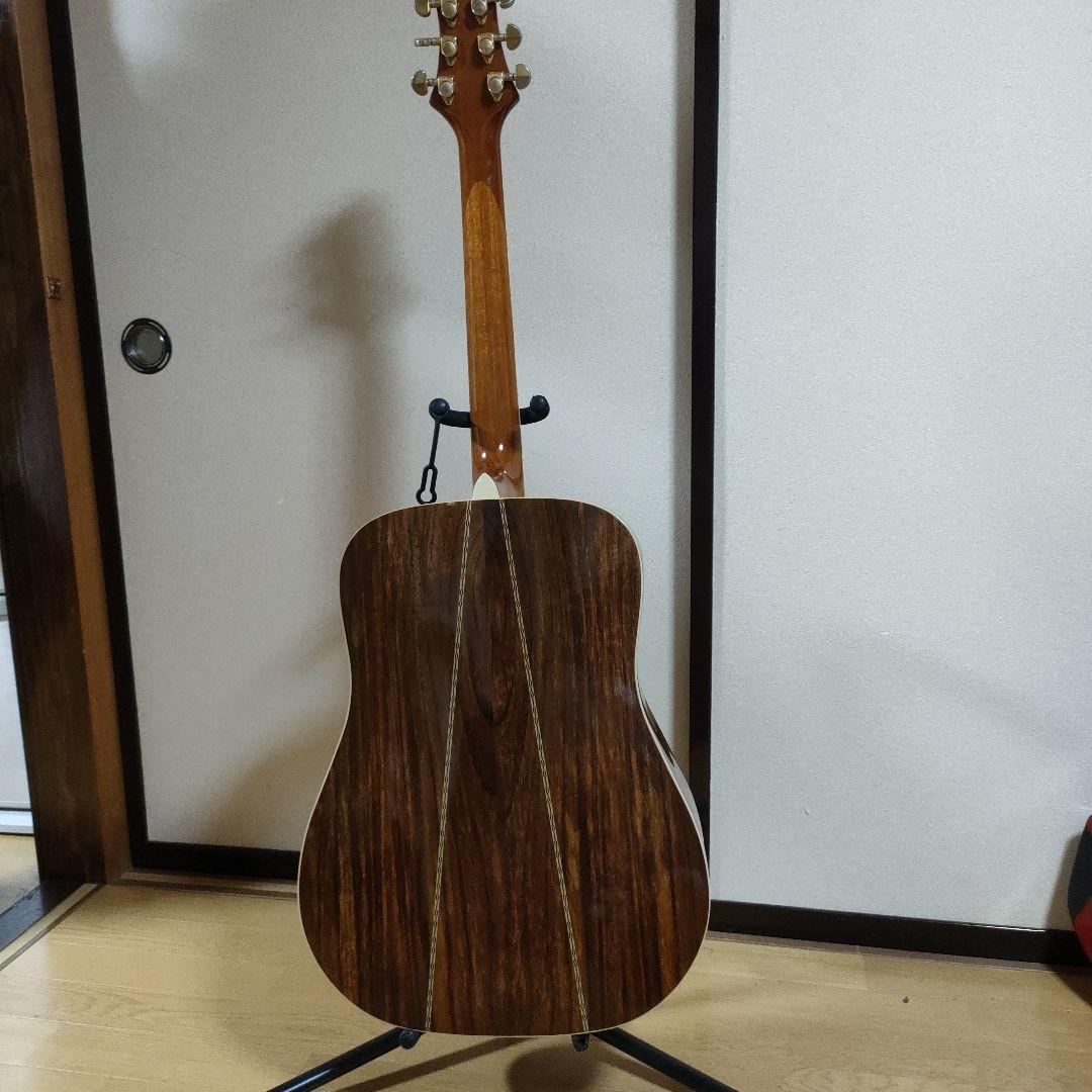 ギター Greg Bennett D-8