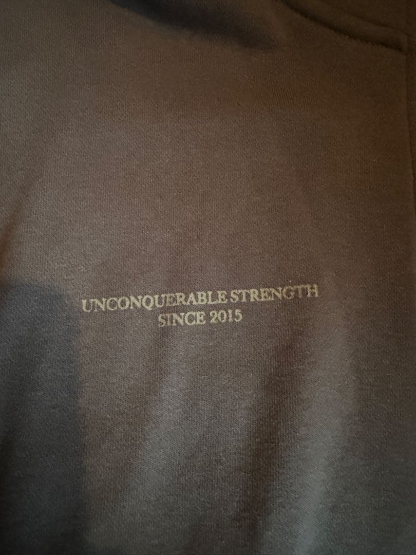 vanquish fitness ハーフジップ　ヴァンキッシュフィットネス