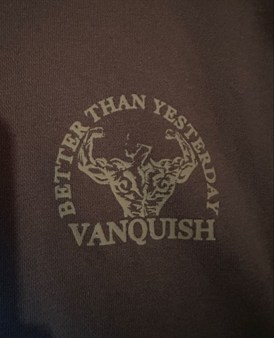 vanquish fitness ハーフジップ　ヴァンキッシュフィットネス