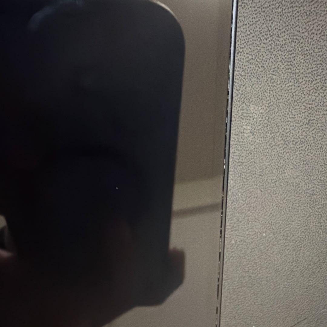 iPhone12 mini 本体　※注意事項あり