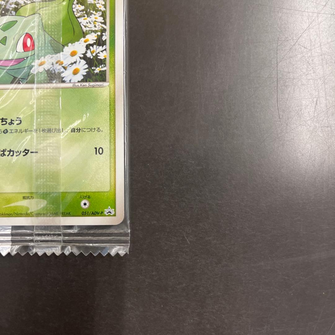 【未開封】ポケモンプロモMeiji 明治ヒトカゲ・ゼニガメ・フシギダネ3枚セット