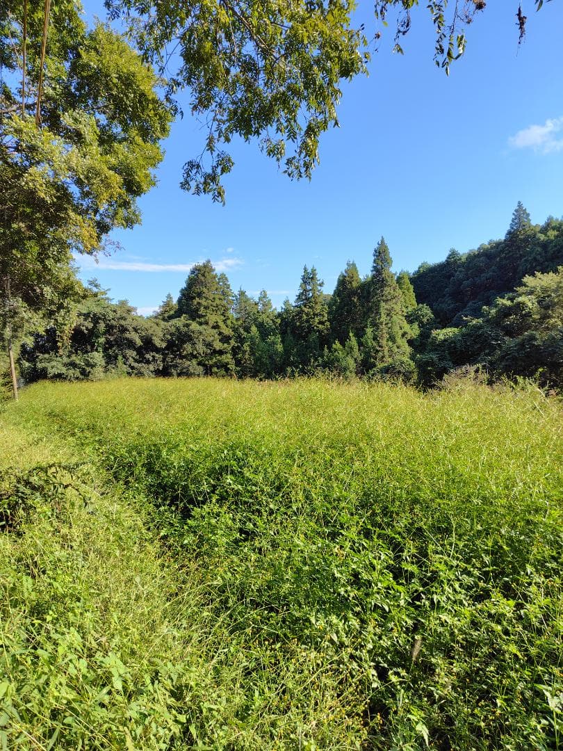♥️極み♦稀少限定コラボ品『100％純粋春蜜と幻の天然完熟秋蜜の食べ比べ』