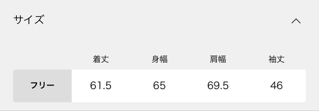 RAMeWORK ウェットオゾン加工L/Tee