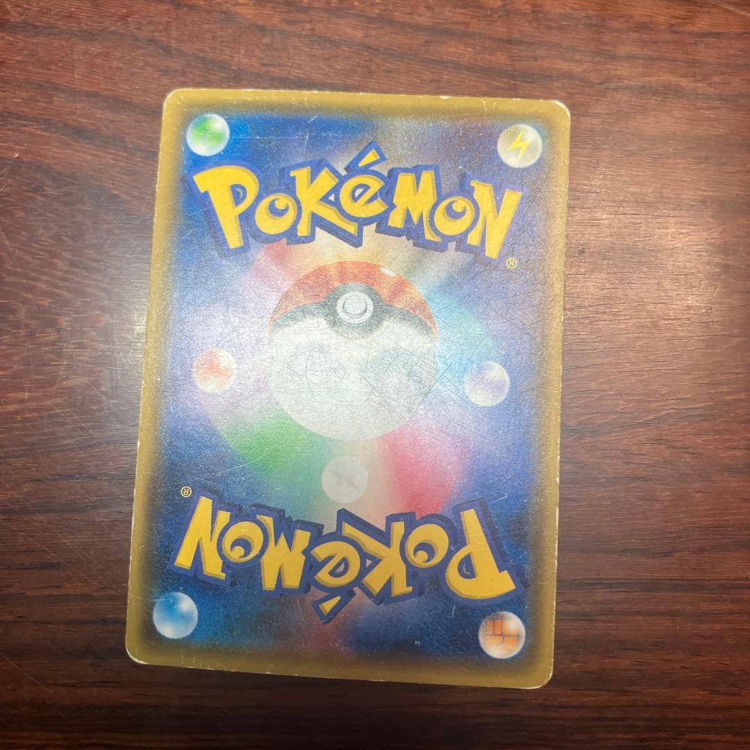 ポンチョを着たイーブイ　ブラッキー