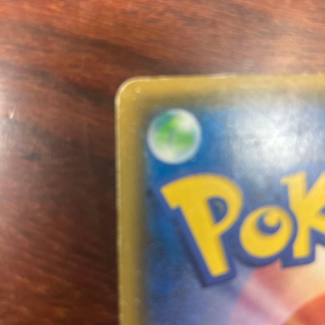 ポンチョを着たイーブイ　ブラッキー