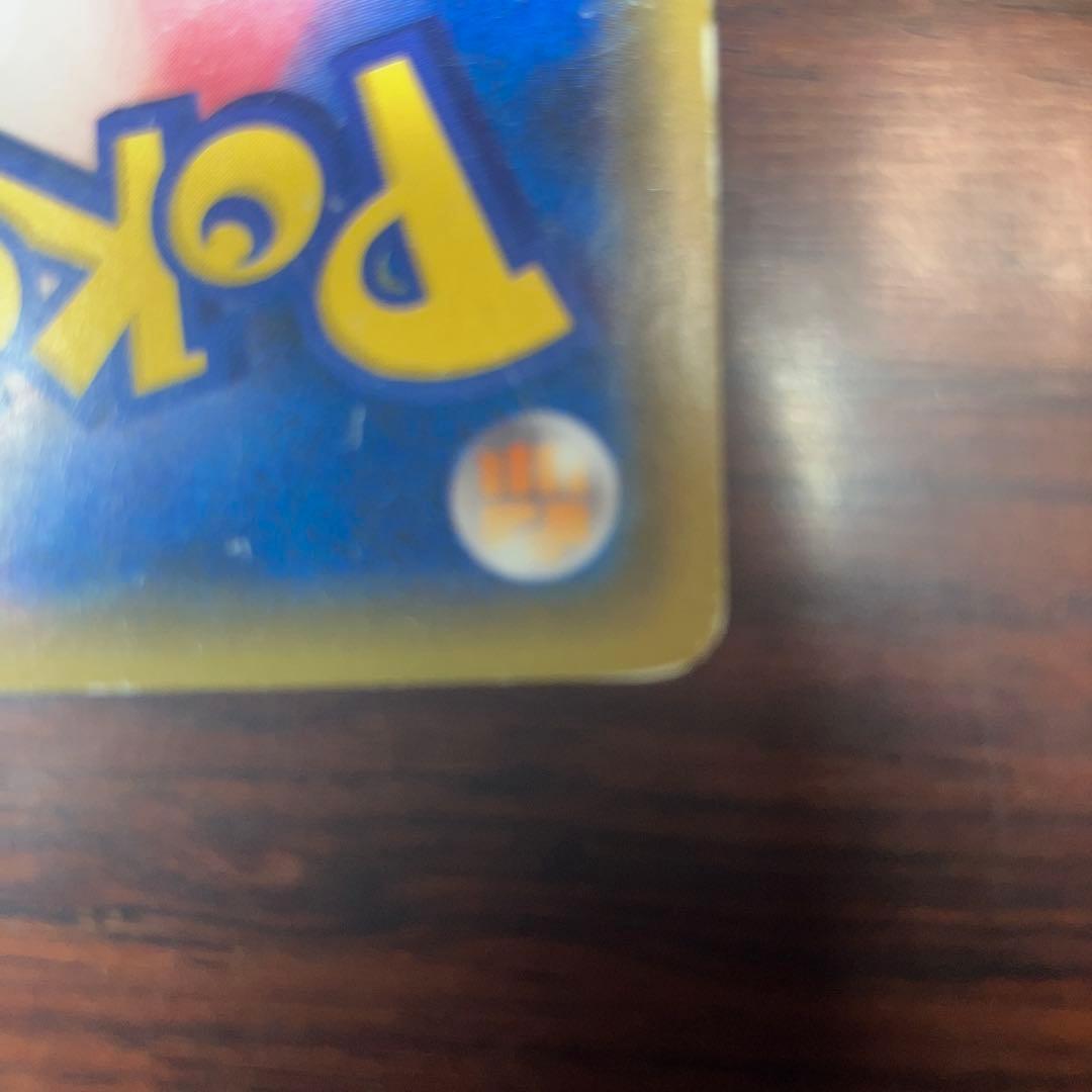 ポンチョを着たイーブイ　ブラッキー