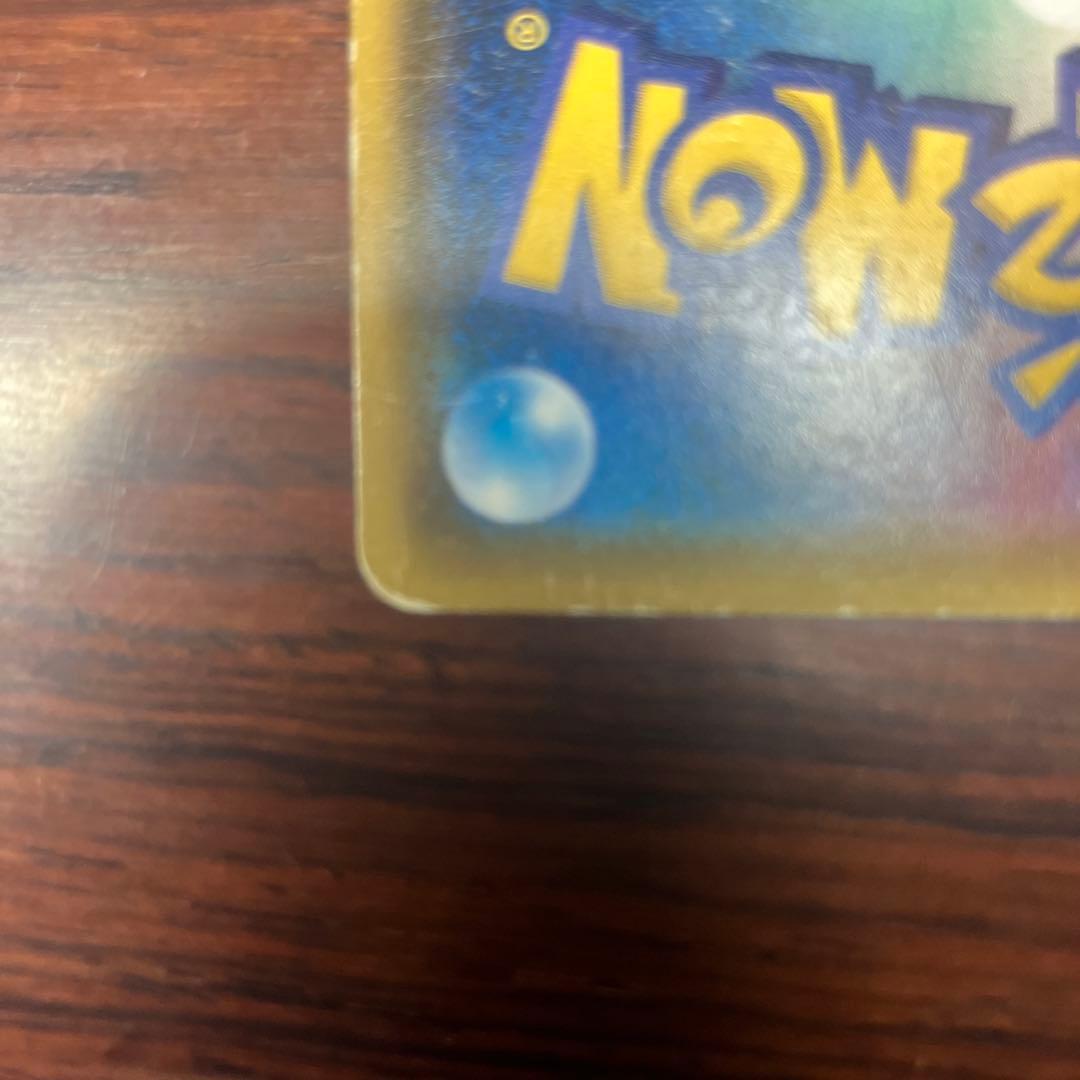 ポンチョを着たイーブイ　ブラッキー