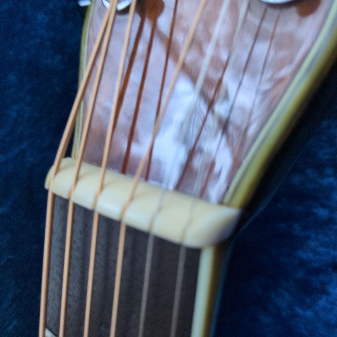 希少　新品弦　現状販売 MORRIS TF W-50 ハカランダモデル