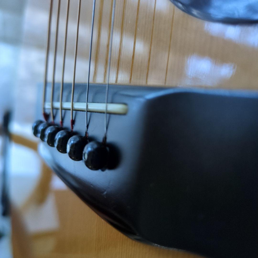 希少　新品弦　現状販売 MORRIS TF W-50 ハカランダモデル