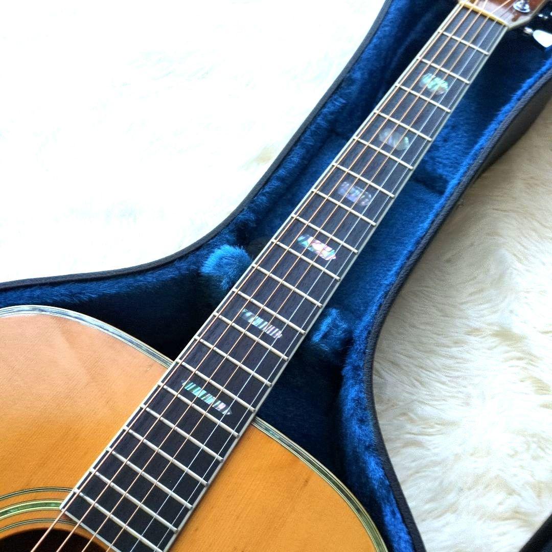 希少　新品弦　現状販売 MORRIS TF W-50 ハカランダモデル