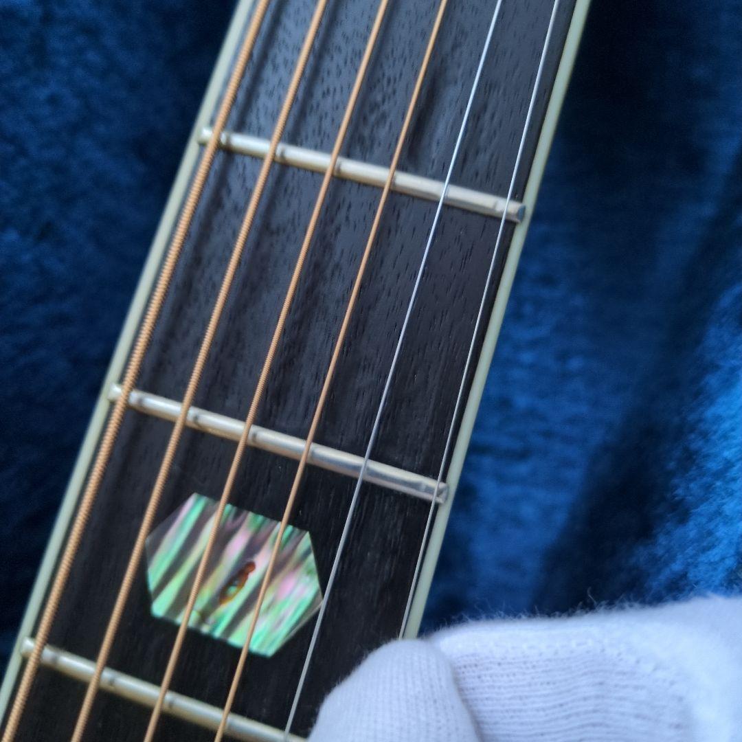 希少　新品弦　現状販売 MORRIS TF W-50 ハカランダモデル