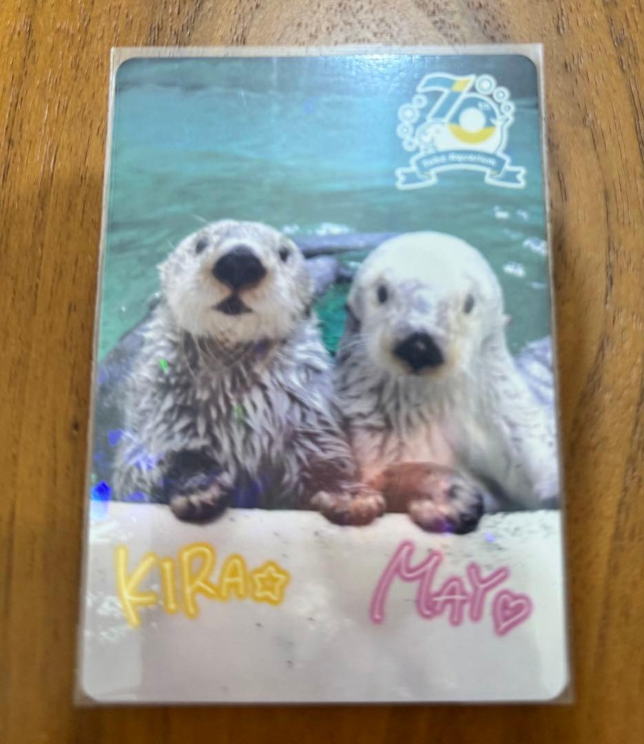 鳥羽水族館 70周年 コレクションカード　３枚セット　レア２枚含
