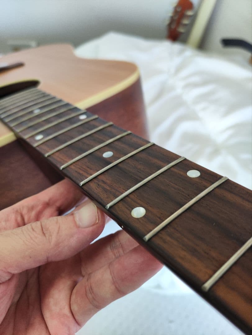 入手困難 Recording King RD-A9M オール単板 ドレッドノート