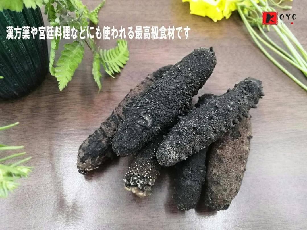 5袋セット 関西産　乾燥なまこナマコ100g 5-8cm 海鼠 海参