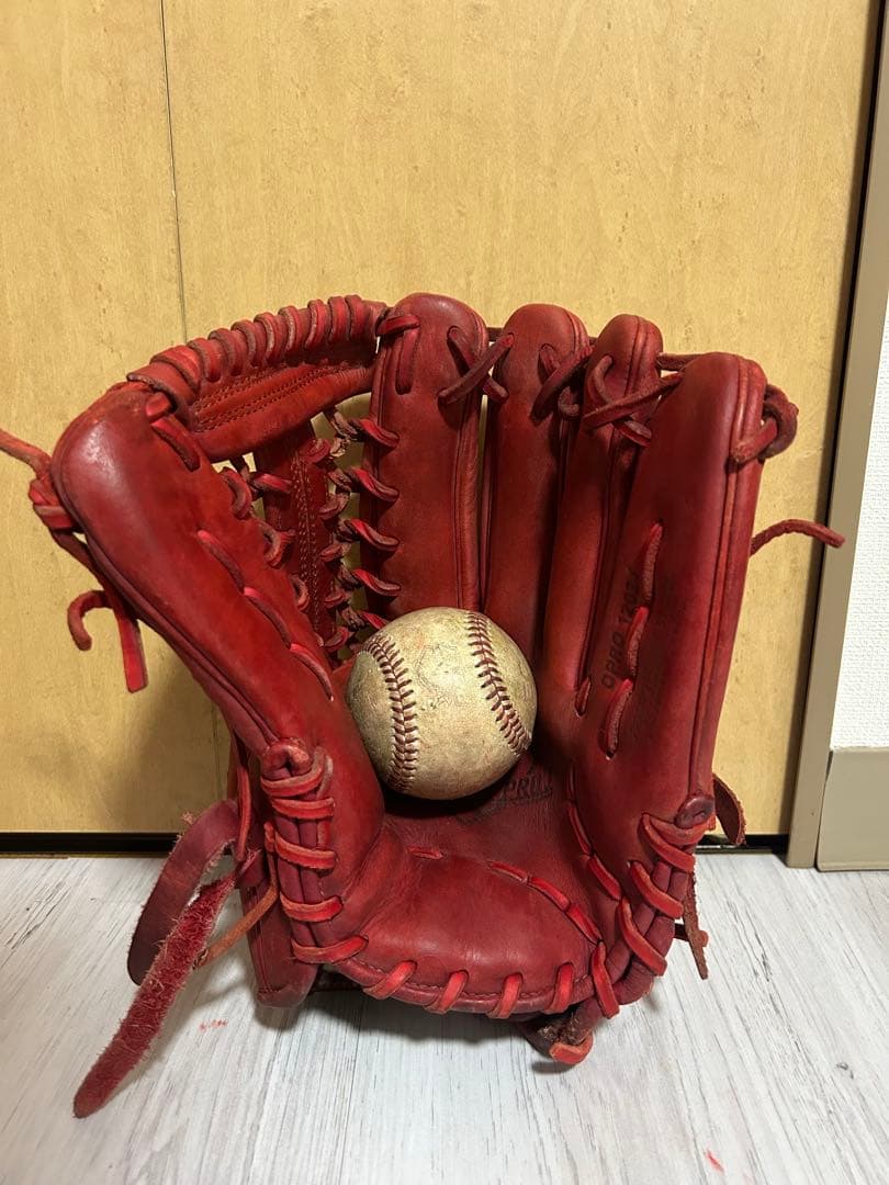 NIKE 外野用グローブ　ケース付き