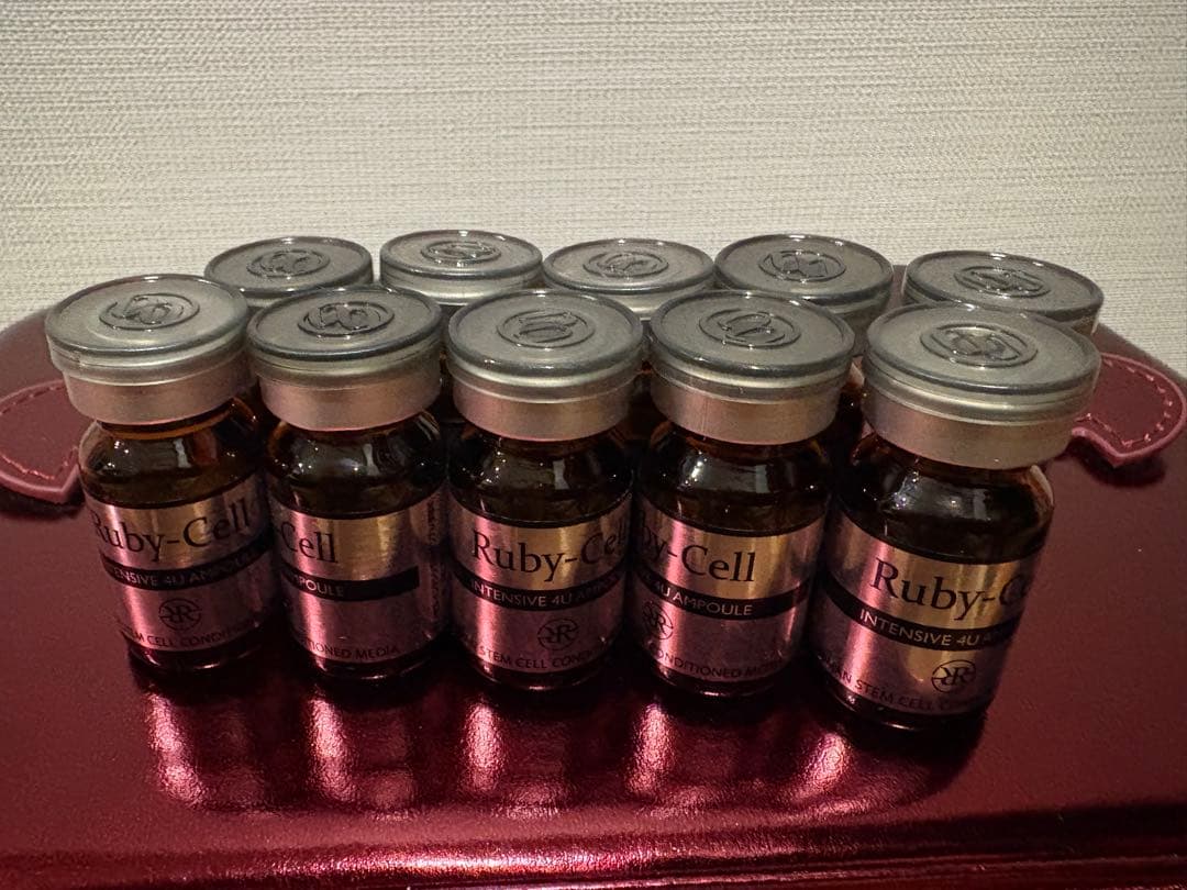 Ruby-Cell エアブラシ 本体、専用ケース付き