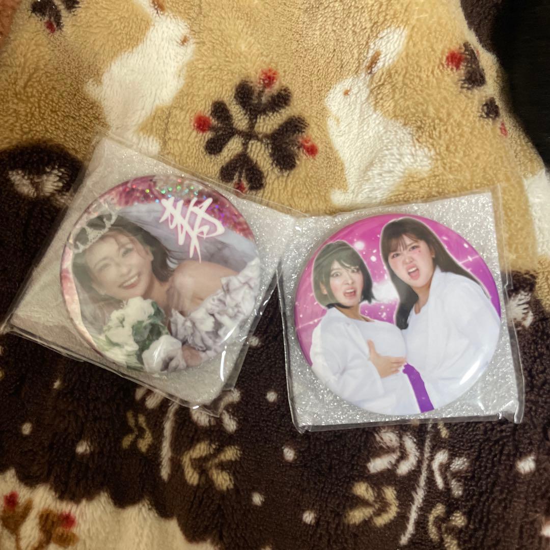 た*ん様 平成フラミンゴ ミラー 助け展