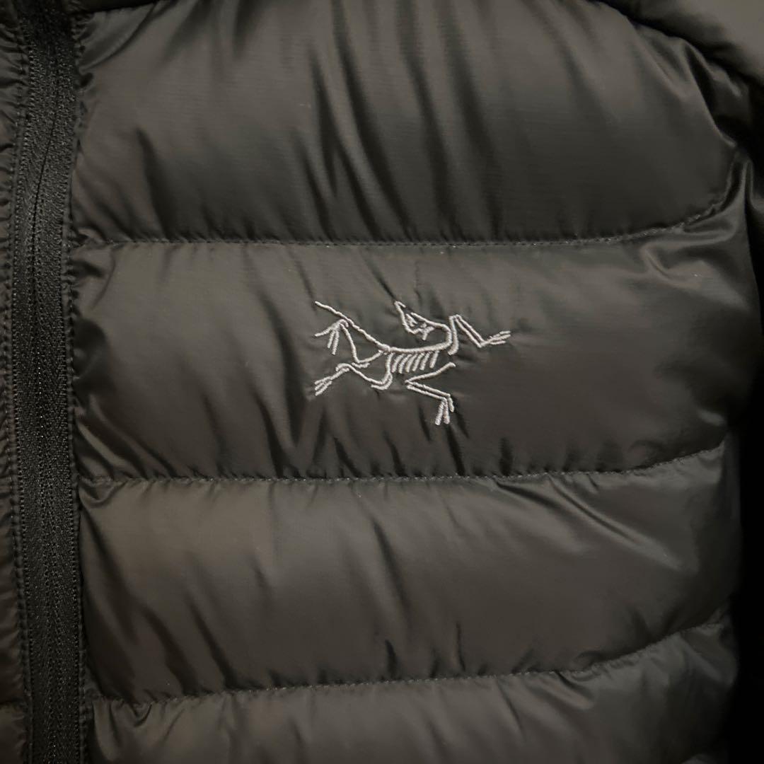 Arc'teryx 現行セリウムフーディー