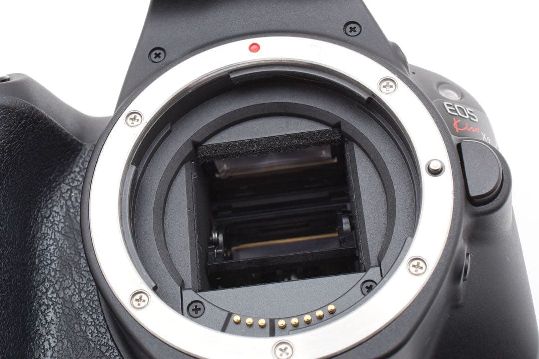 CANON EOS Kiss X9望遠レンズセット/EF 75-300mm 1