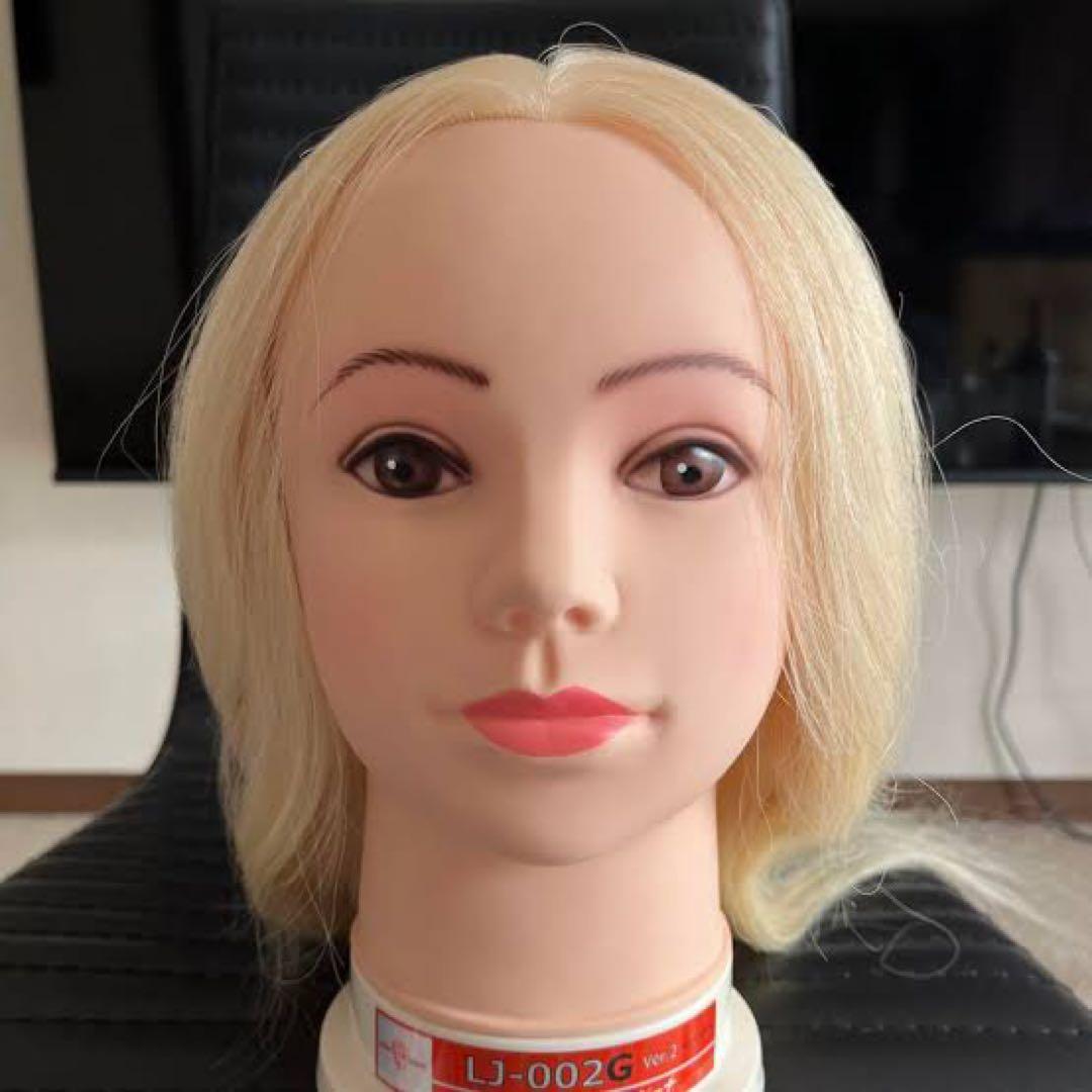 レジーナ LJ-002G 金髪 ブロンド ウィッグ ヘアアレンジ 美容学生 実習