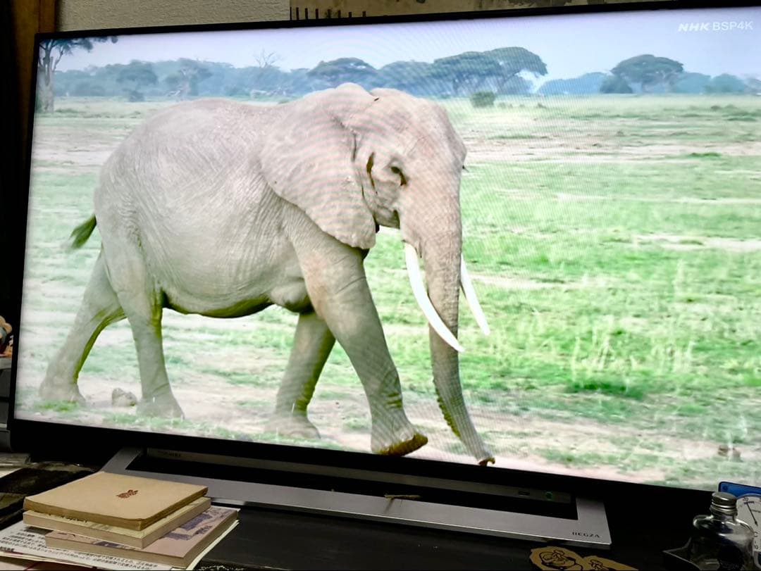 TOSHIBA 43M540X 4K液晶テレビ 東芝 高画質 REGZA 43型