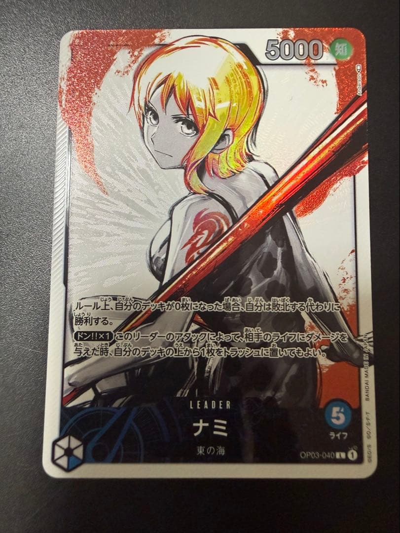 ナミ L リーダーパラレル(リーパラ)美品