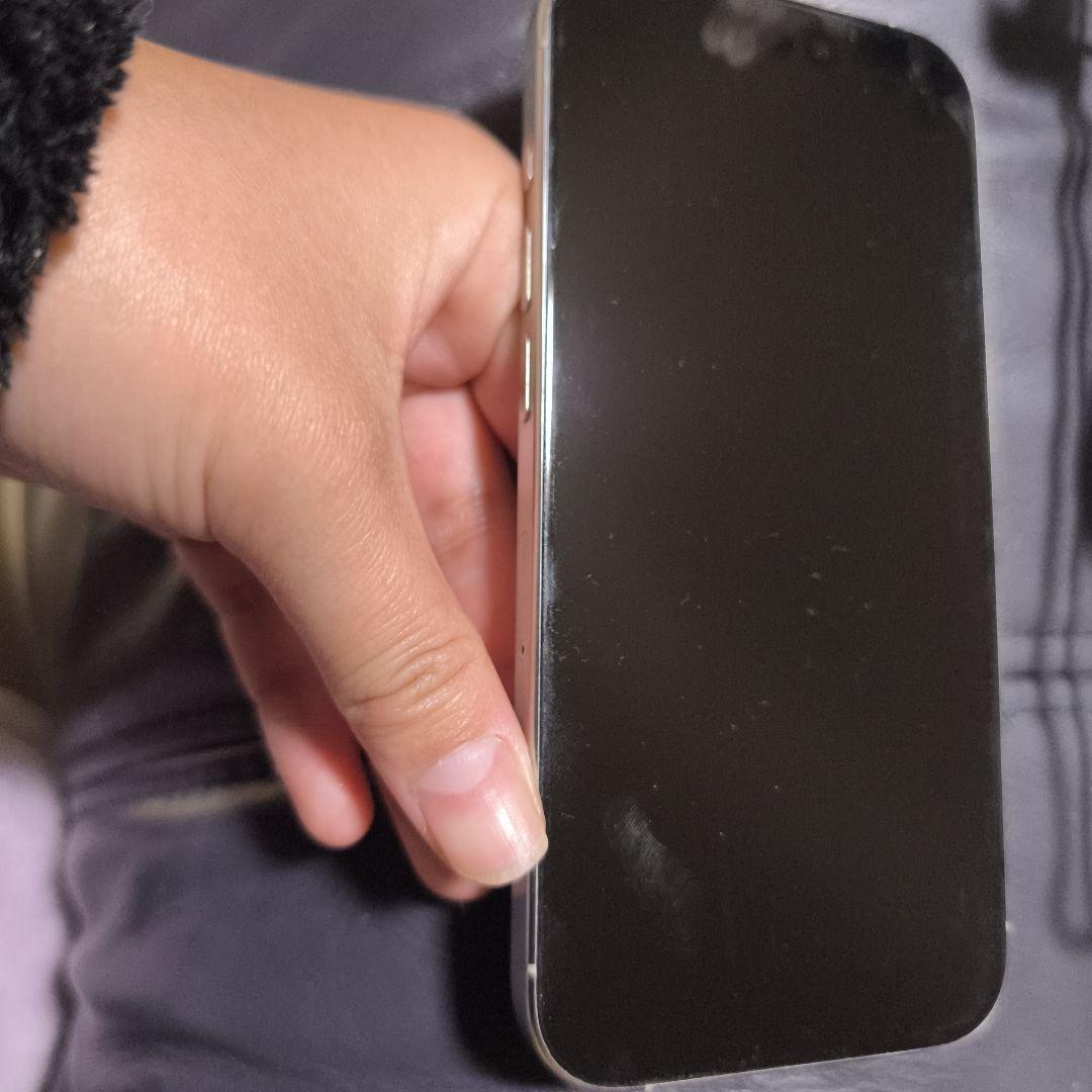 Apple iPhone 15Pro シルバー 本体