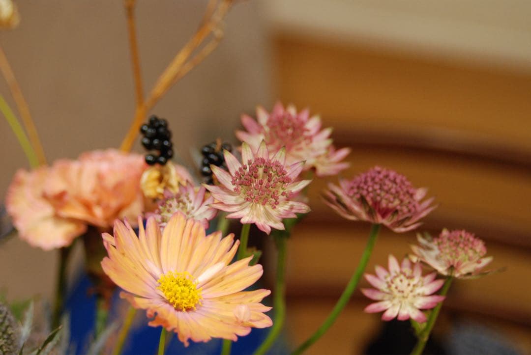 Nikon D80 CCDデジタル一眼レフ　ニッコール35-70レンズ付 動作品