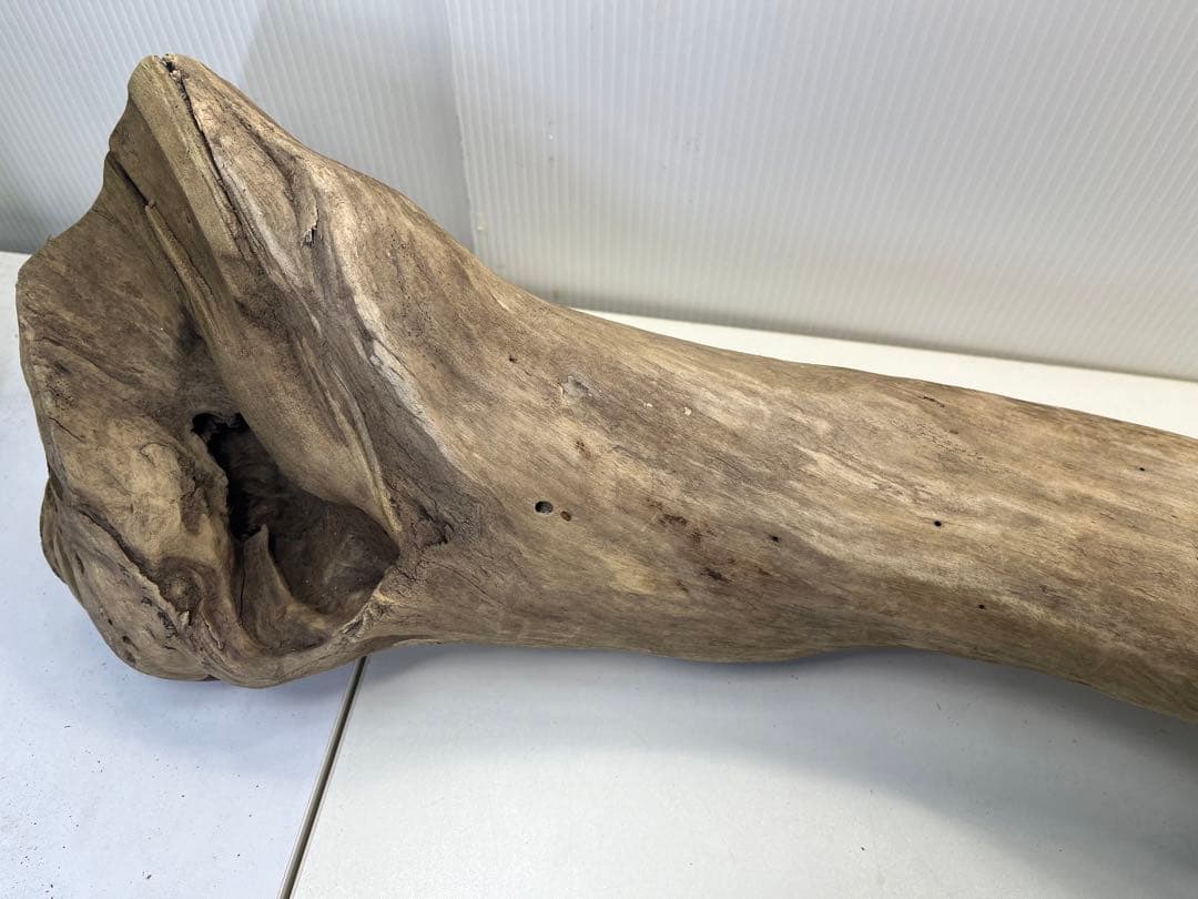 R64特大流木 アク抜き済み流木 爬虫類シェルター 登り木 インテリア 生け花