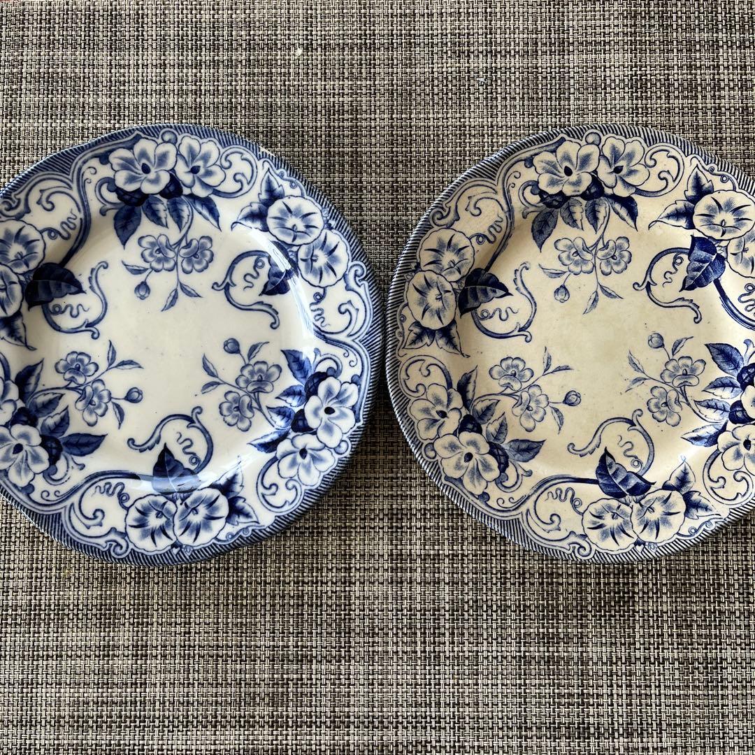 【ray 】クレイユモントロー　FLORAシリーズ　プレート2枚セット