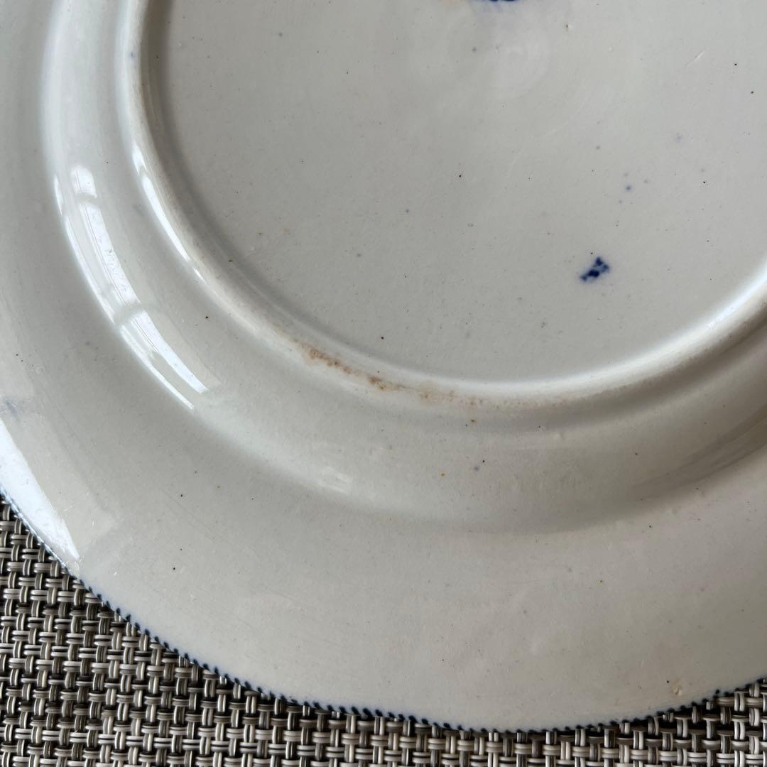 【ray 】クレイユモントロー　FLORAシリーズ　プレート2枚セット