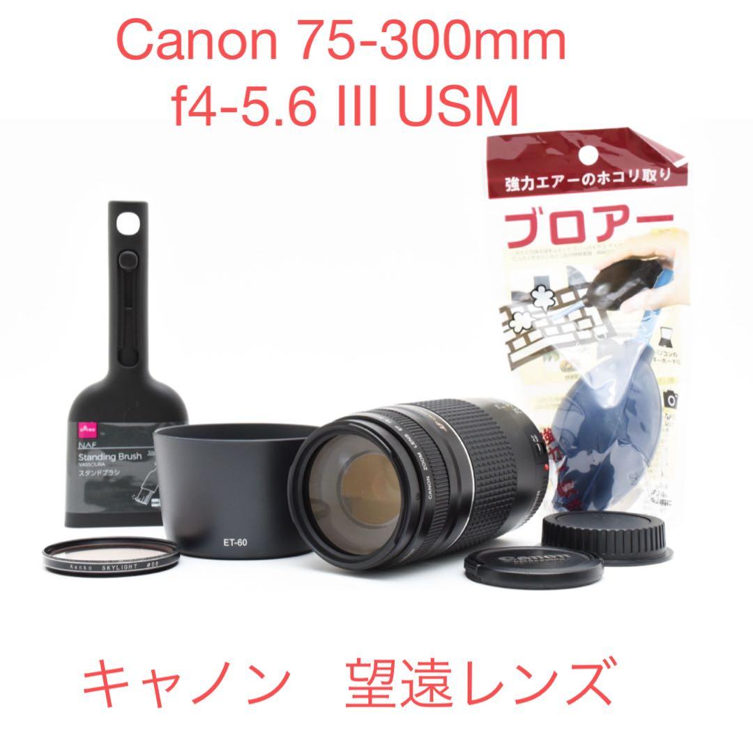 デジタル一眼レフカメラ/ 望遠レンズ /Canon EF75-300 Ⅲ USM