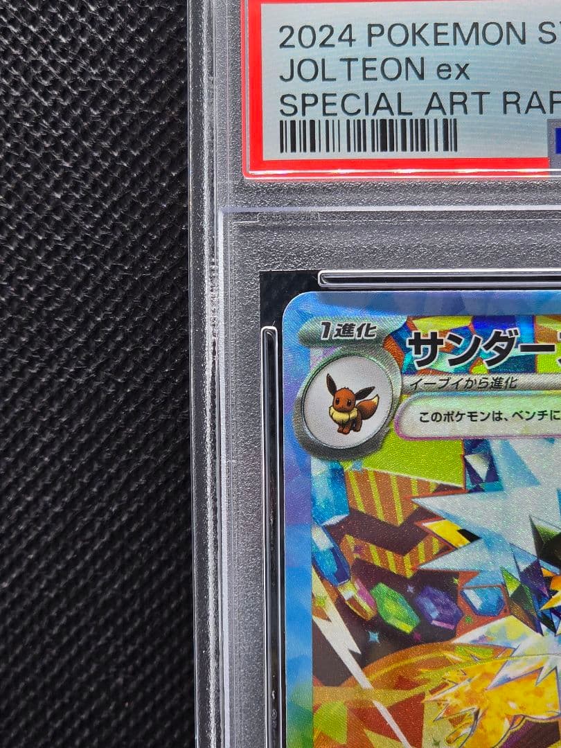 PSA10 サンダースex【SAR】テラスタルフェス