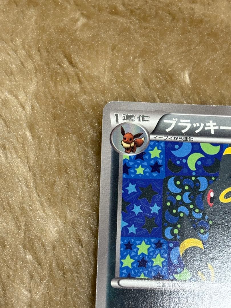 ブラッキー　イーブイファイルコレクション　188/BW-P