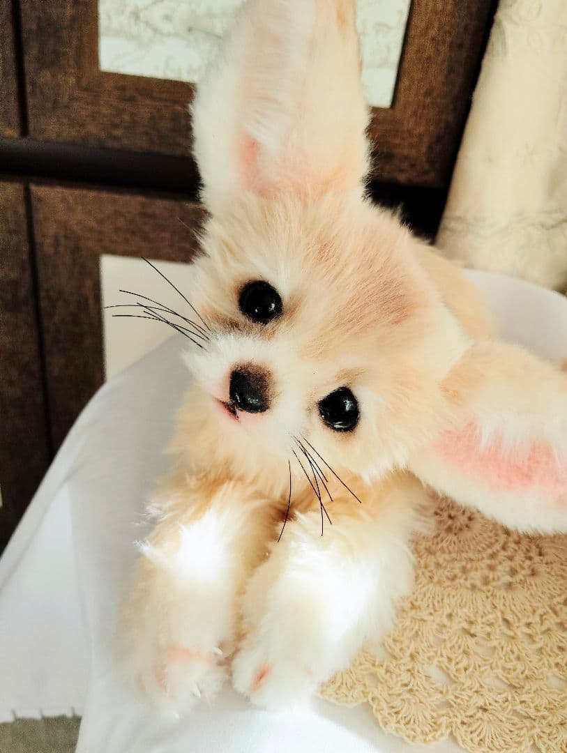 フェネックベビー♡赤ちゃん抱っこサイズ♡アートドール♡ぬいぐるみ♡