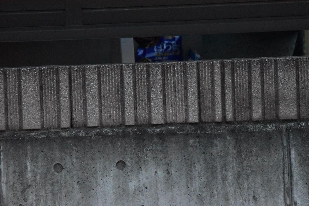 タムロン　SP 150-600mm F5-6.3 Di VC USD 望遠レンズ