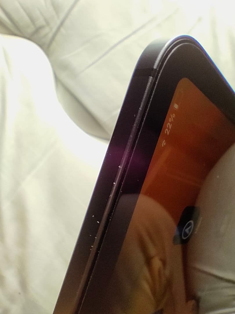 Ipad Pro 12.9 インチ 第4世代 Wifi + Cellular