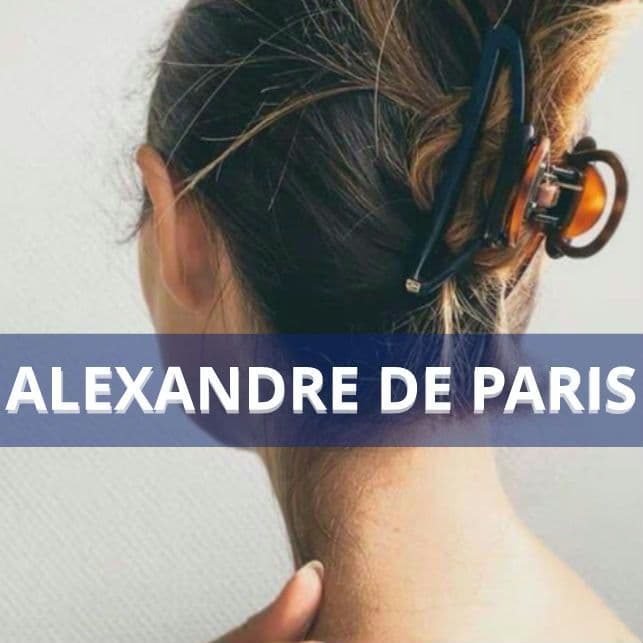 【訳あり希少】アレクサンドルドゥパリ クリップ べっ甲×ネイビー×ダークパープル