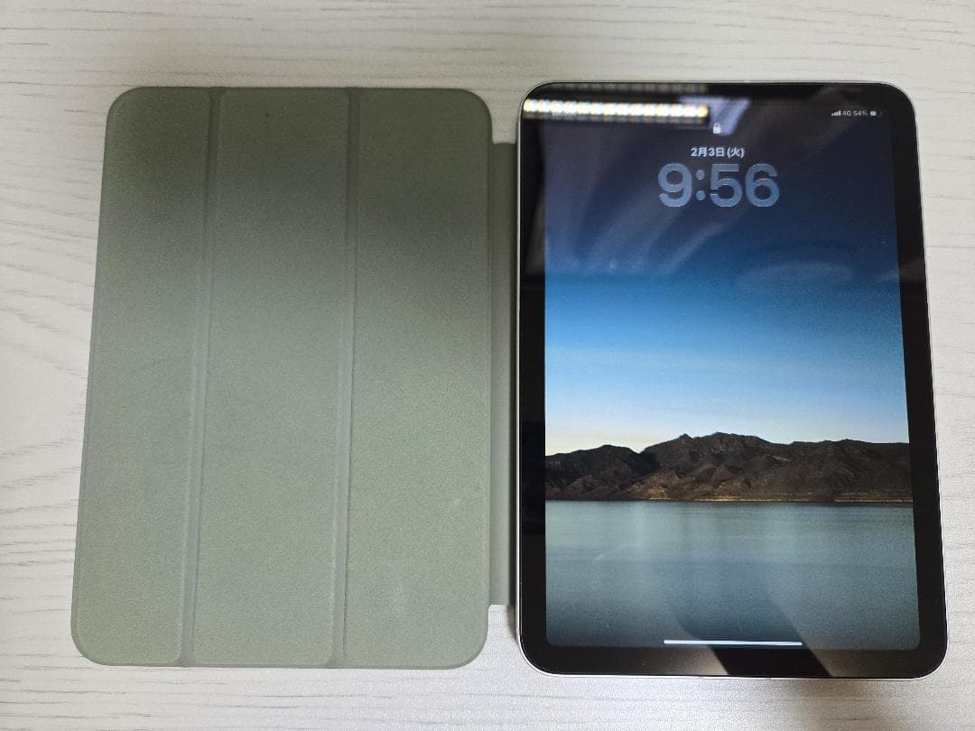 iPad本体 iPad mini A17 Pro Wi-Fi+Cellular 256GB